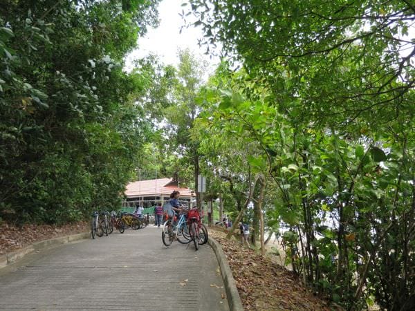 專欄｜新加坡 鐵馬健行百變花園城市 南部山脊 麥里芝蓄水池 烏敏島 讓你比在地人更在地