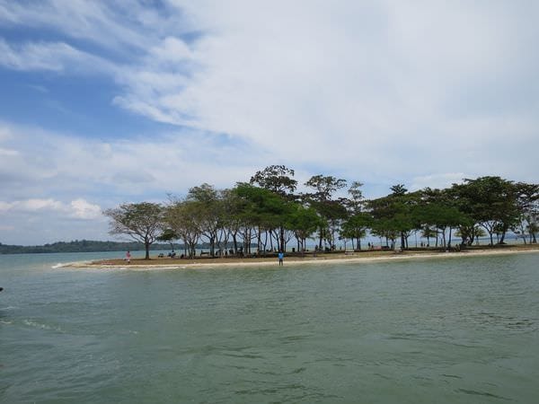 專欄｜新加坡 鐵馬健行百變花園城市 南部山脊 麥里芝蓄水池 烏敏島 讓你比在地人更在地
