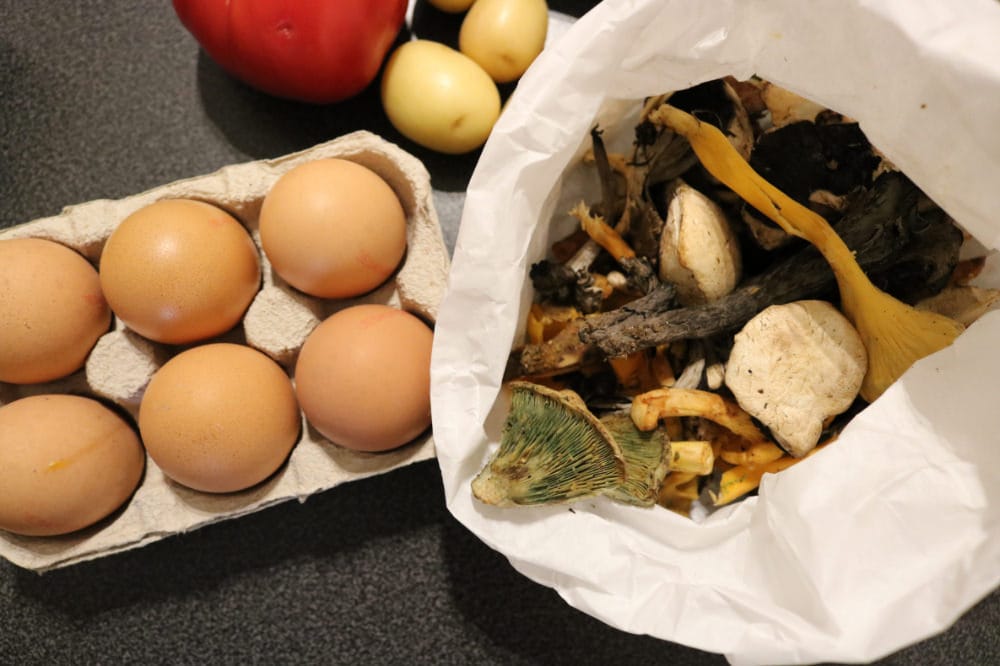 西班牙巴塞隆納自由行花費 小資策略大滿足