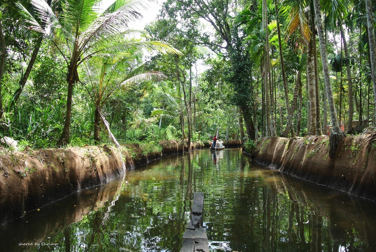 專欄｜奇幻印度南部走透透路線規劃清奈、崔奇、坦賈武爾、馬都萊、科欽、奧蘭卡巴、孟買