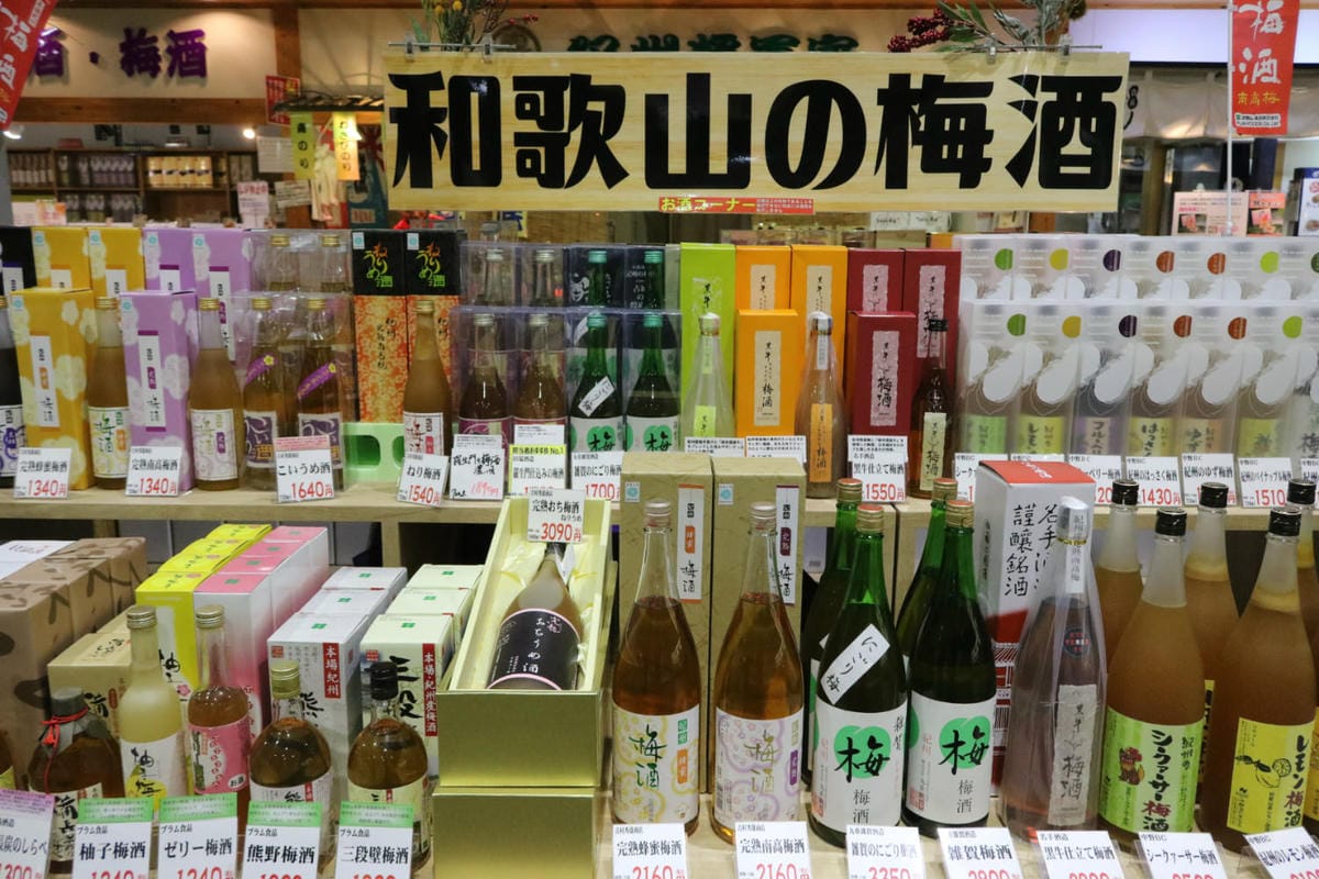 日本和歌山白濱 面海靠山景點美食玩透透 附自駕與巴士