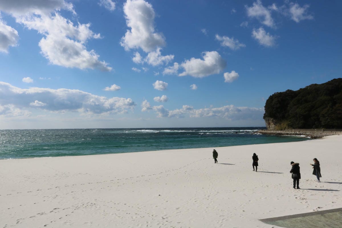 日本和歌山白濱 面海靠山景點美食玩透透 附自駕與巴士