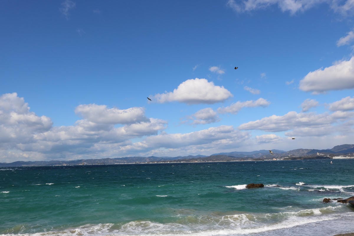 日本和歌山白濱 面海靠山景點美食玩透透 附自駕與巴士