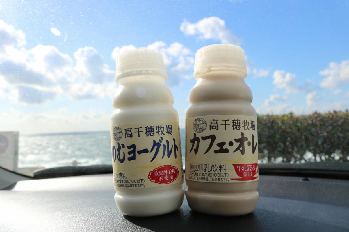 日本和歌山白濱 面海靠山景點美食玩透透 附自駕與巴士