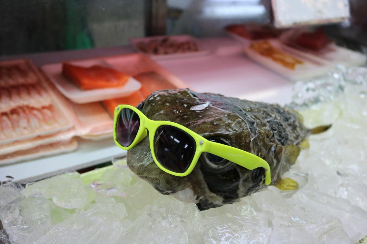 好日子食物袋 減塑生活是一種環保覺悟 持續使用才是真環保