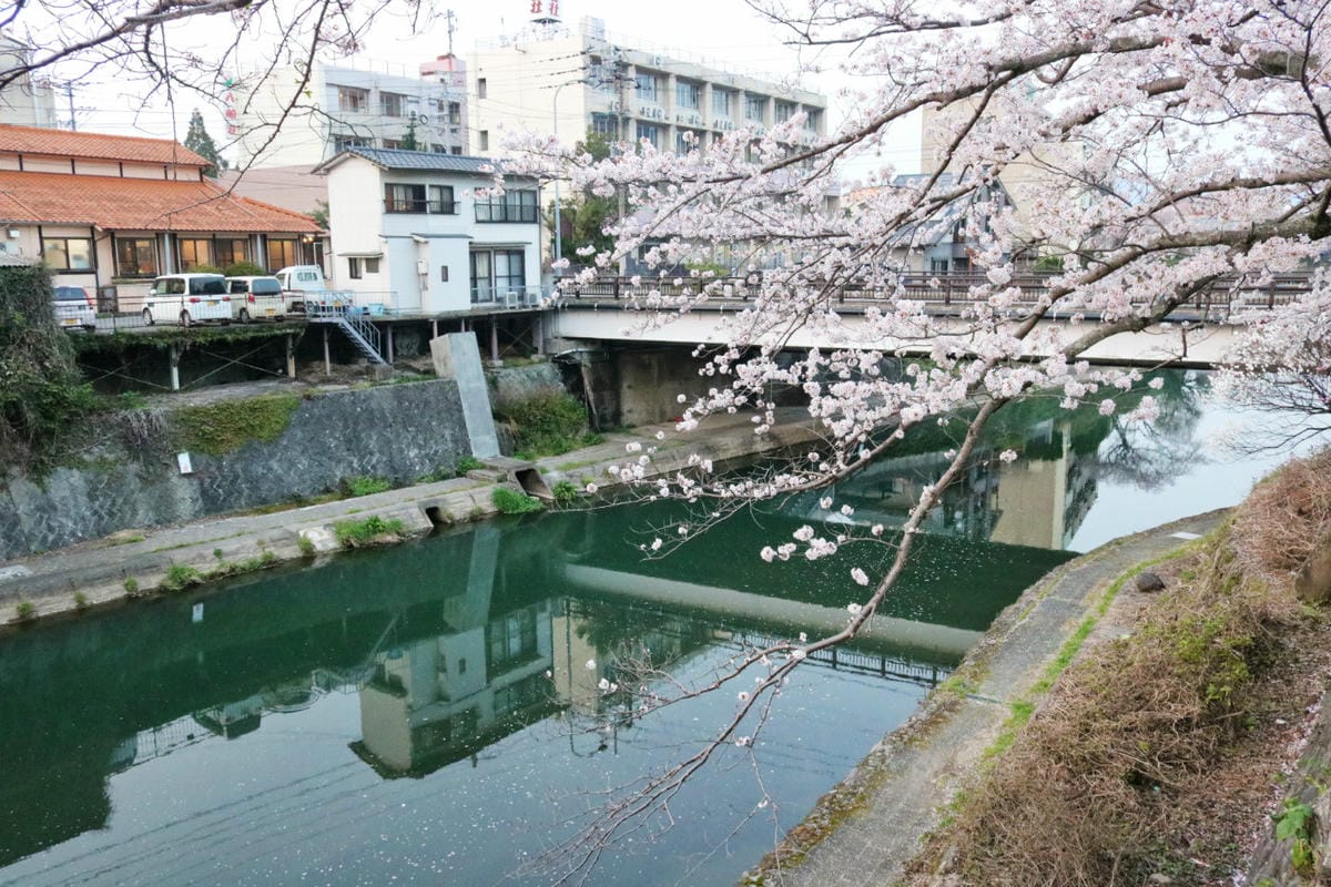 佐賀溫泉 嬉野溫泉 美人湯華翠苑溫泉旅館 在地特色一次打盡 - 第2張圖 佐賀溫泉 嬉野溫泉 美人湯華翠苑溫泉旅館 在地特色一次打盡