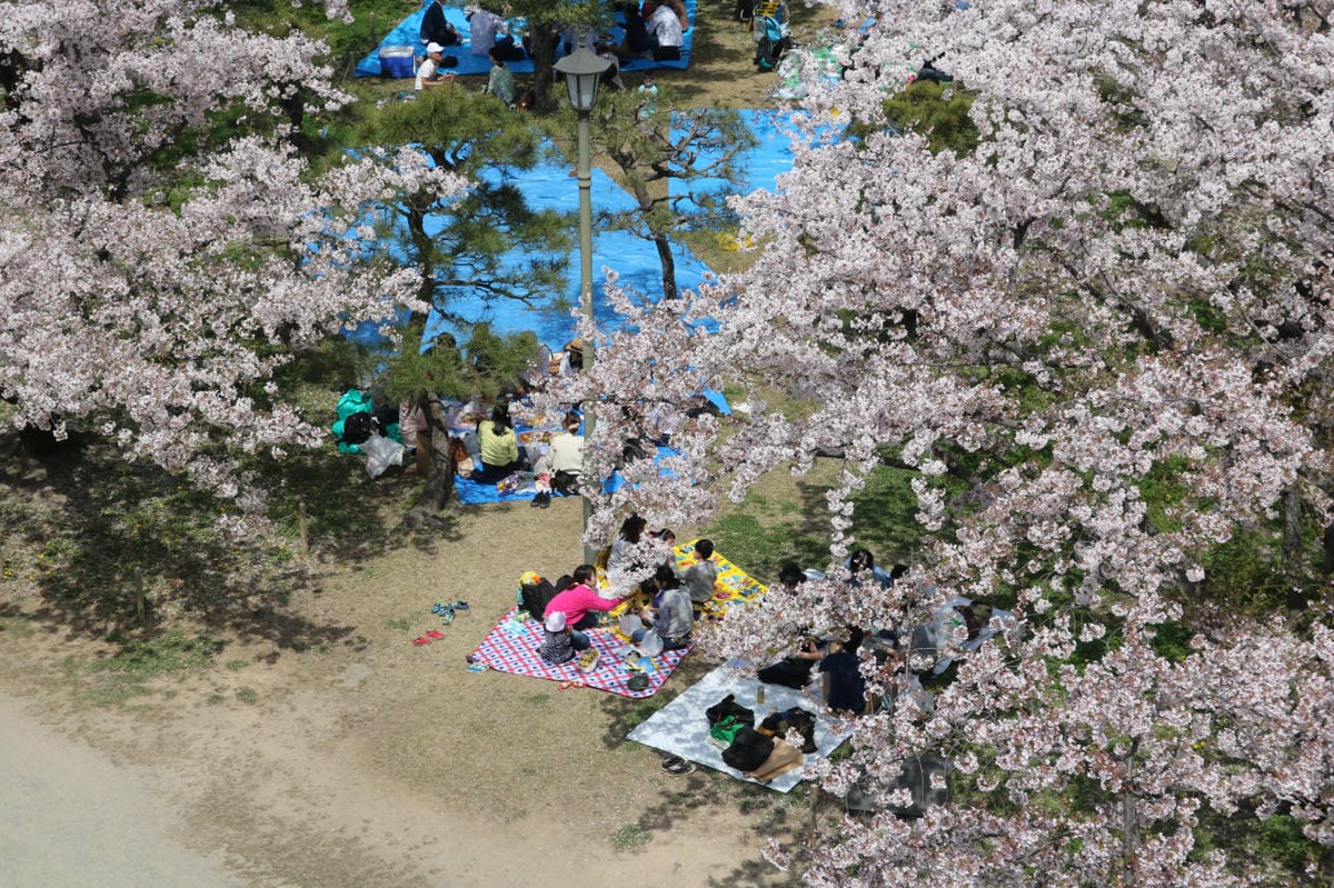 日本旅遊上網方案推薦 173wifi網路吃到飽九州照樣嚇嚇叫