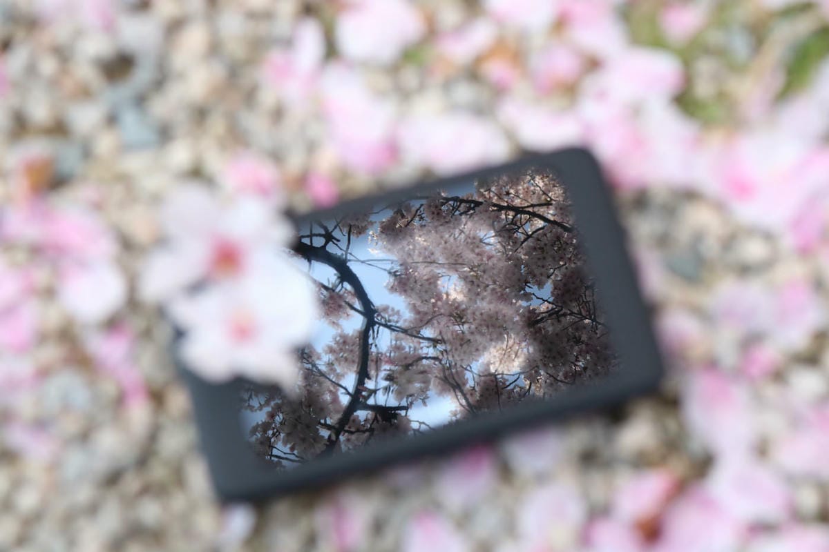 日本旅遊上網方案推薦 173wifi網路吃到飽九州照樣嚇嚇叫