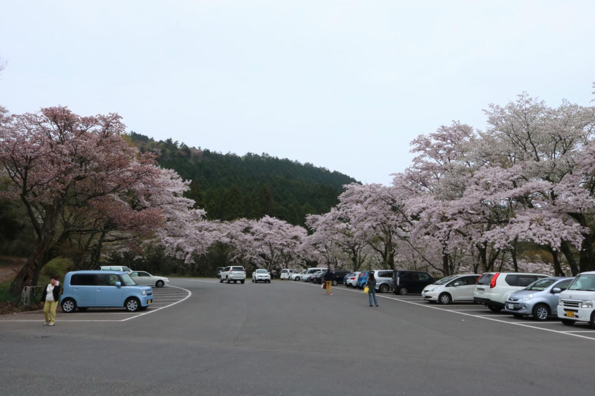 日本休旅車開起來如何？租七人座行李箱夠嗎