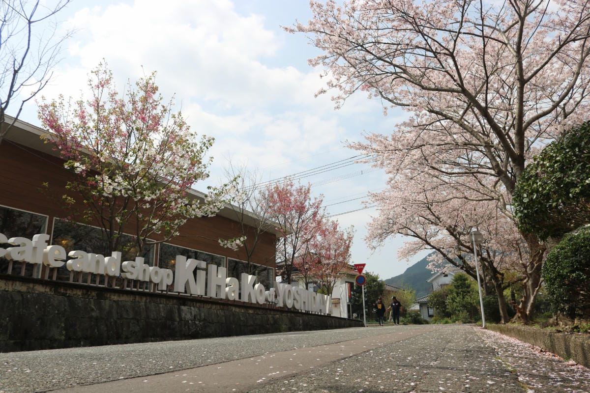 九州佐賀嬉野溫泉 漫步老街溫泉湯豆腐新八壽司