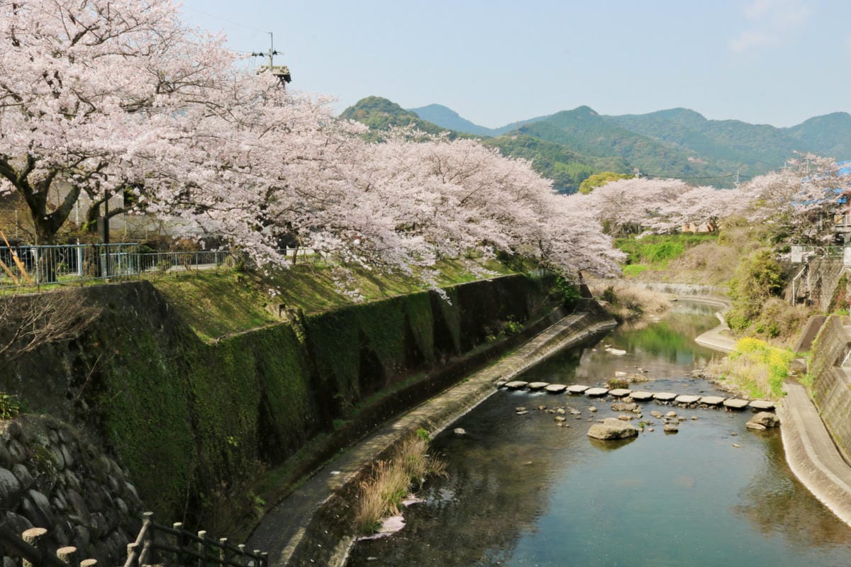 九州佐賀嬉野溫泉 漫步老街溫泉湯豆腐新八壽司