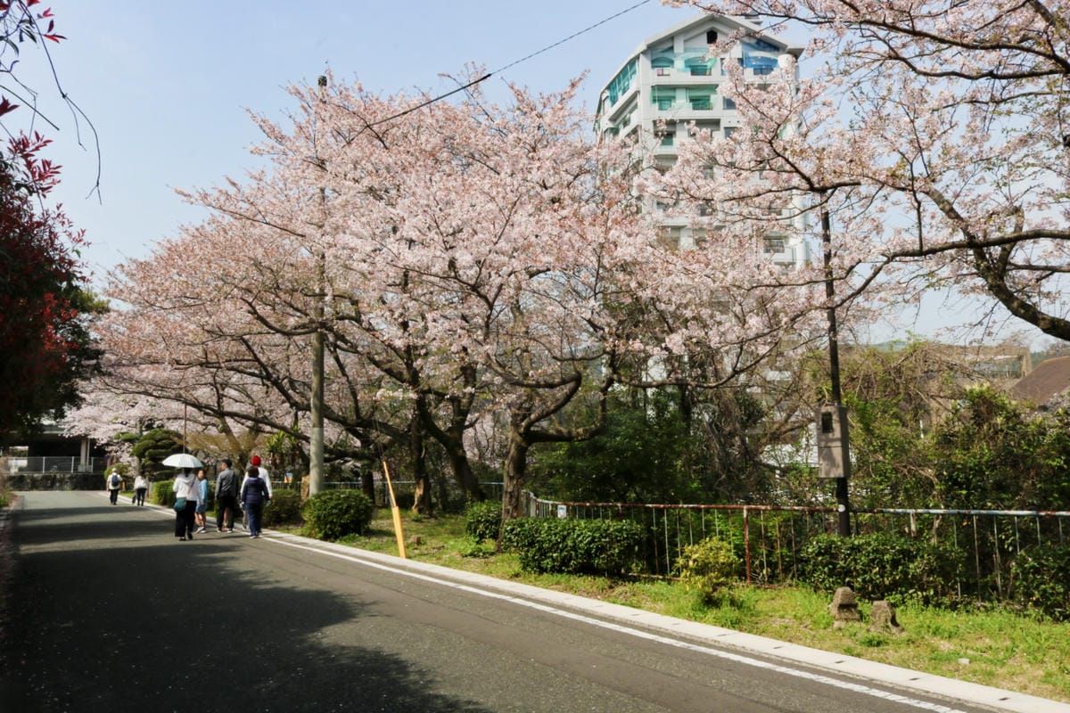 九州佐賀嬉野溫泉 漫步老街溫泉湯豆腐新八壽司