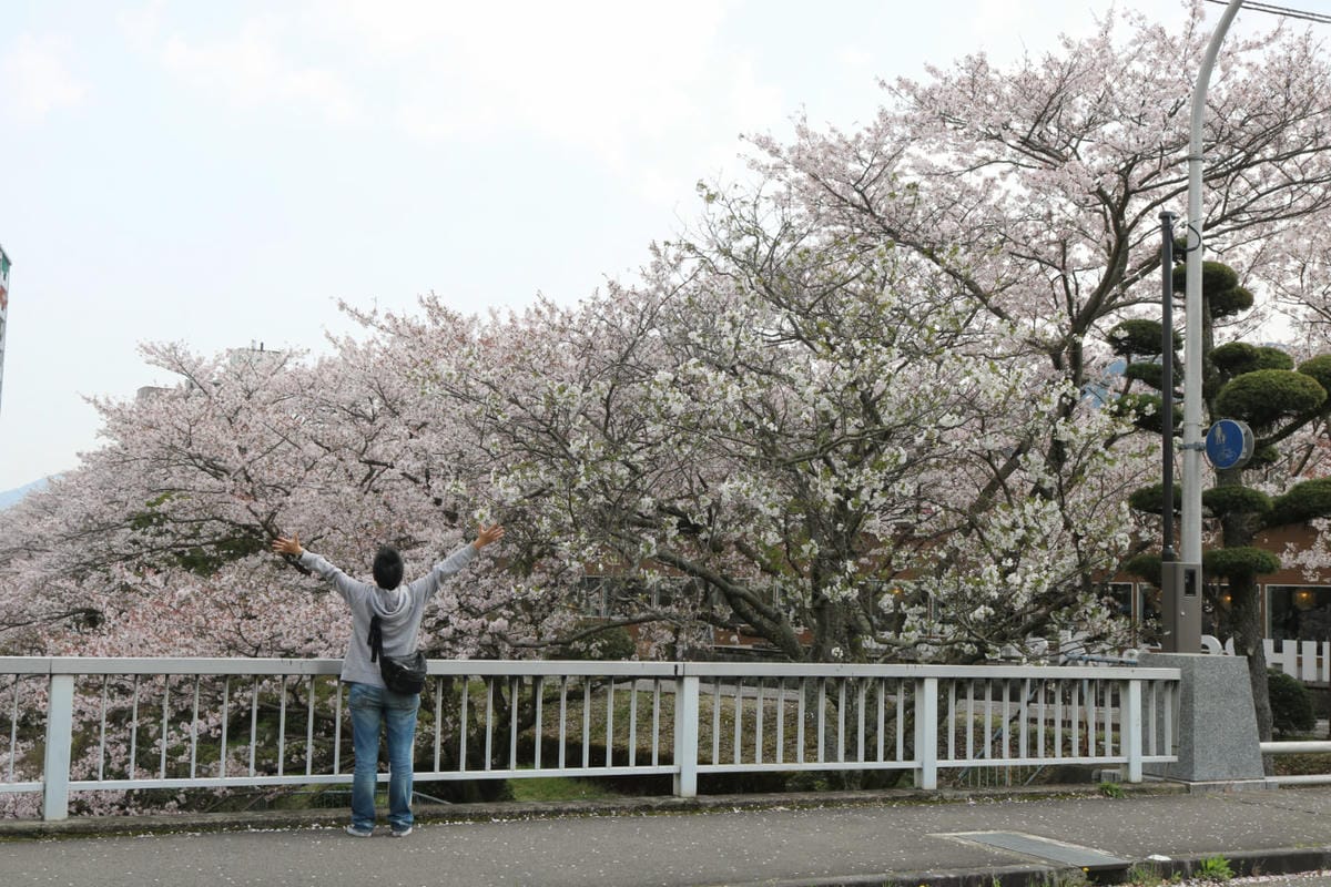九州佐賀嬉野溫泉 漫步老街溫泉湯豆腐新八壽司