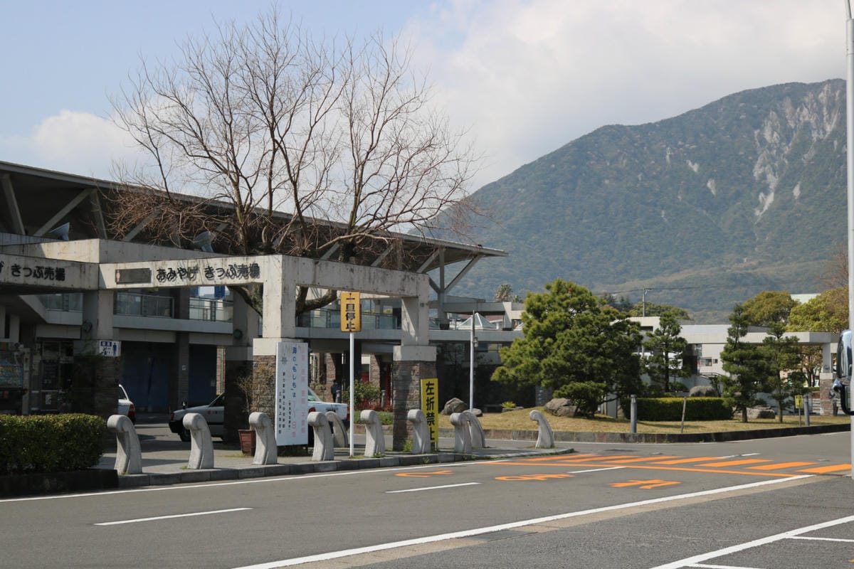 長崎熊本交通渡輪 開車搭船海鷗飛舞伴遊親子同樂