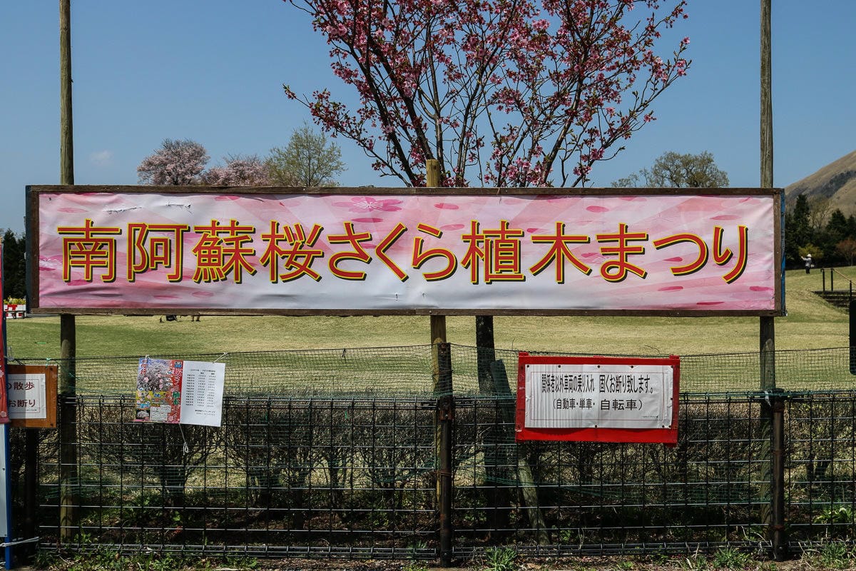 熊本阿蘇景點 一心行櫻花 品嚐烤雞鄉土料理 高森田樂的里