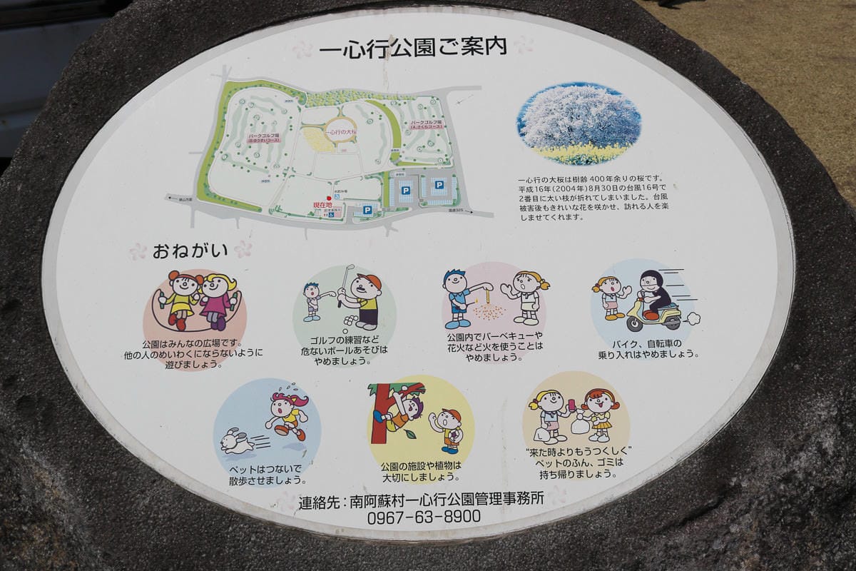 熊本阿蘇景點 一心行櫻花 品嚐烤雞鄉土料理 高森田樂的里