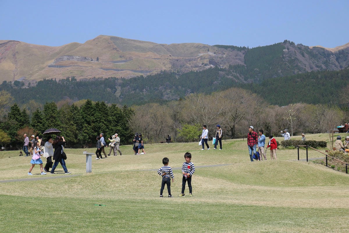 熊本阿蘇景點 一心行櫻花 品嚐烤雞鄉土料理 高森田樂的里