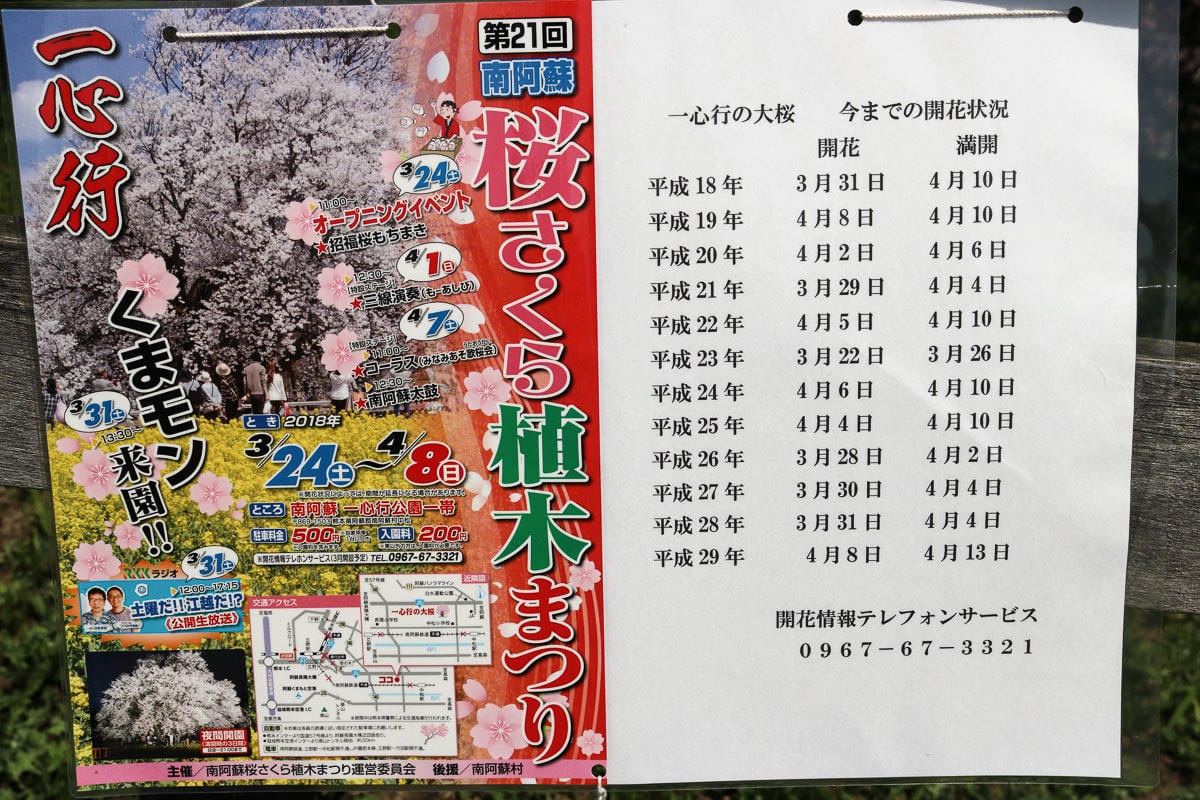 熊本阿蘇景點 一心行櫻花 品嚐烤雞鄉土料理 高森田樂的里