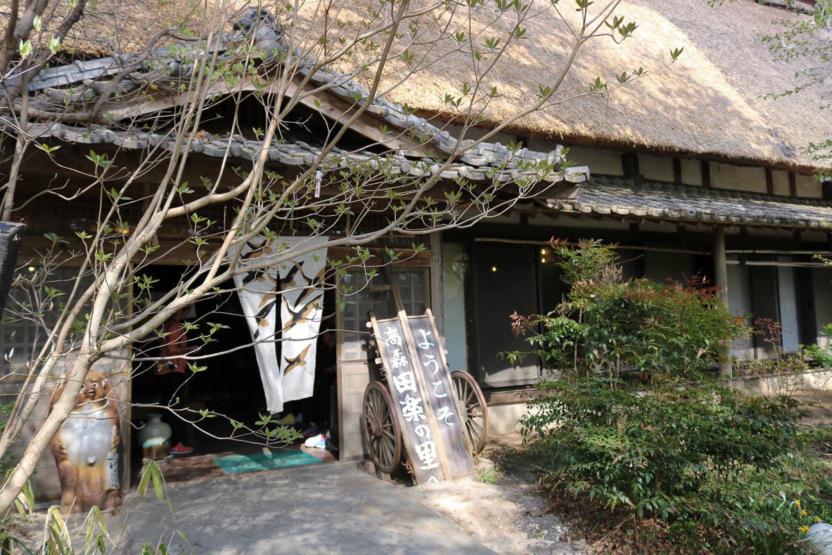 熊本阿蘇景點 一心行櫻花 品嚐烤雞鄉土料理 高森田樂的里