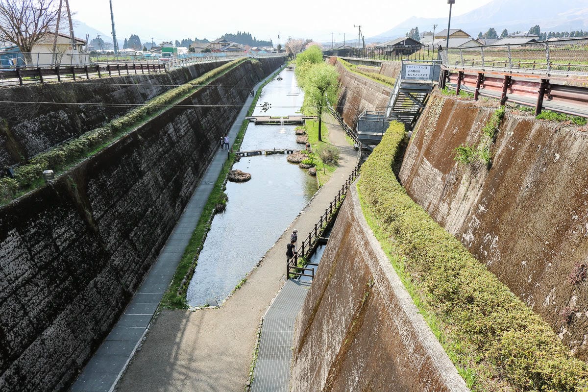 熊本阿蘇景點 一心行櫻花 品嚐烤雞鄉土料理 高森田樂的里