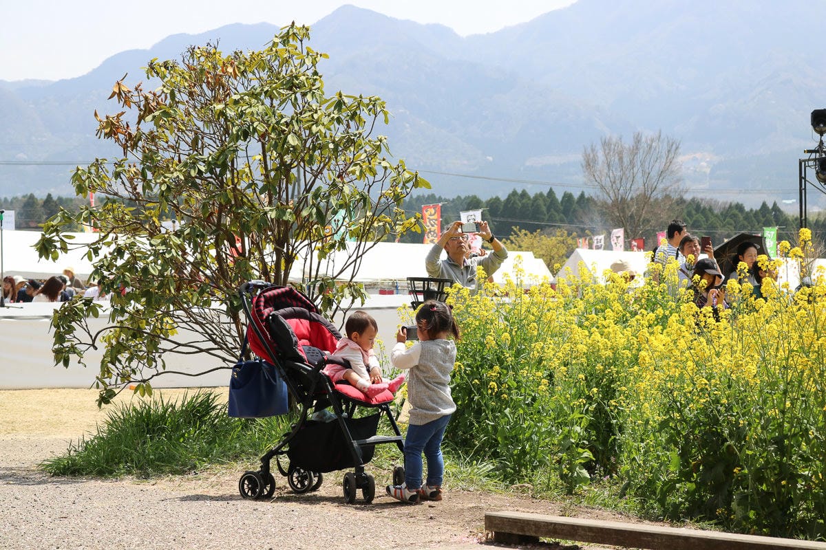 歐洲小偷 西班牙防盜防竊防扒小偷經驗與應對 - 第6張圖 歐洲小偷 西班牙防盜防竊防扒小偷經驗與應對