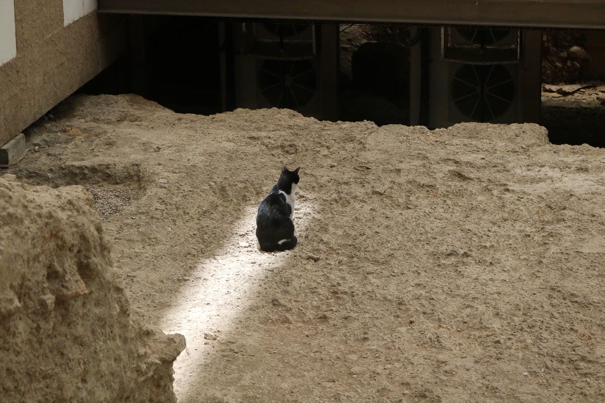 網路訂房Bookingcom好用嗎 評價收款注意事項