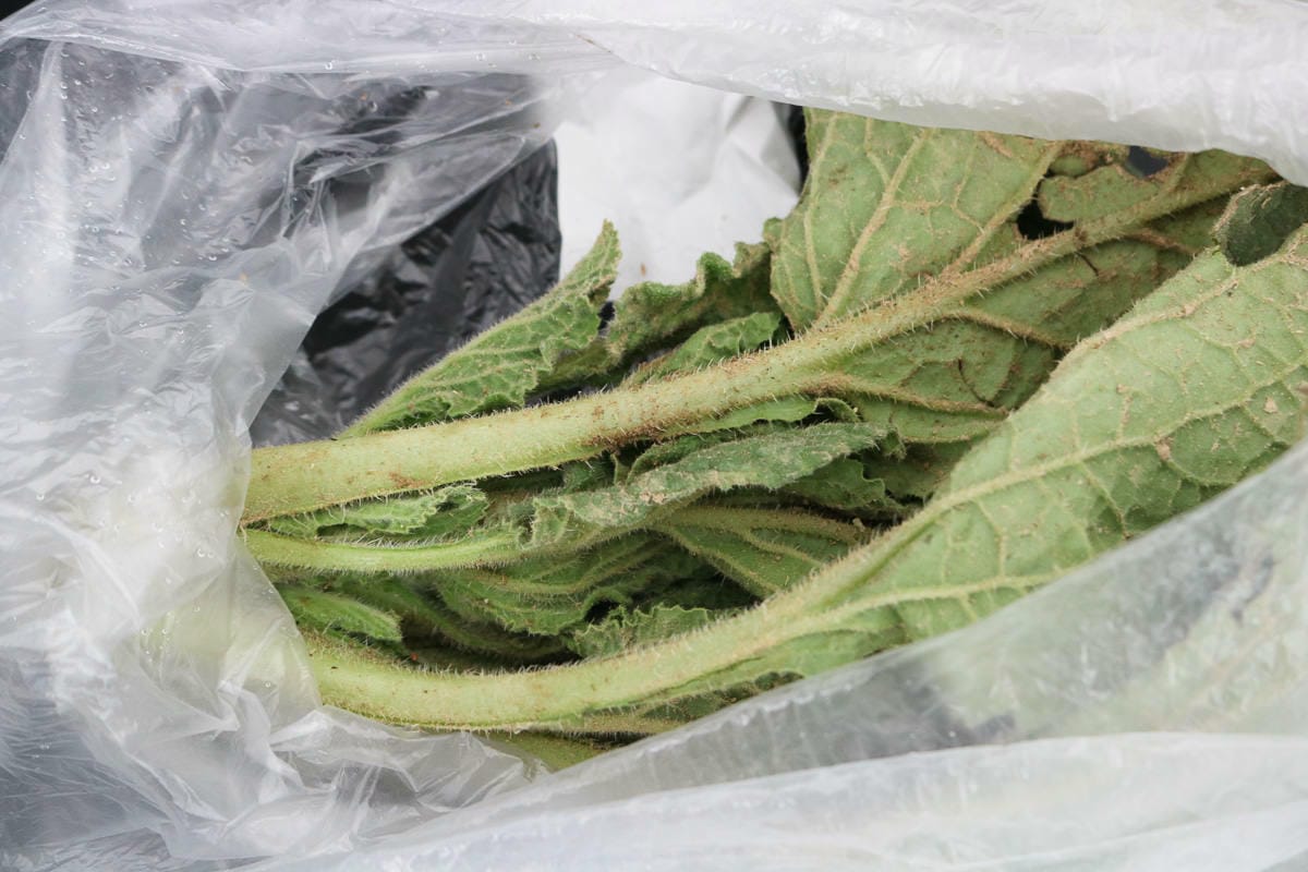 薩拉戈薩吃什麼阿拉貢美食傳統料理當地特色