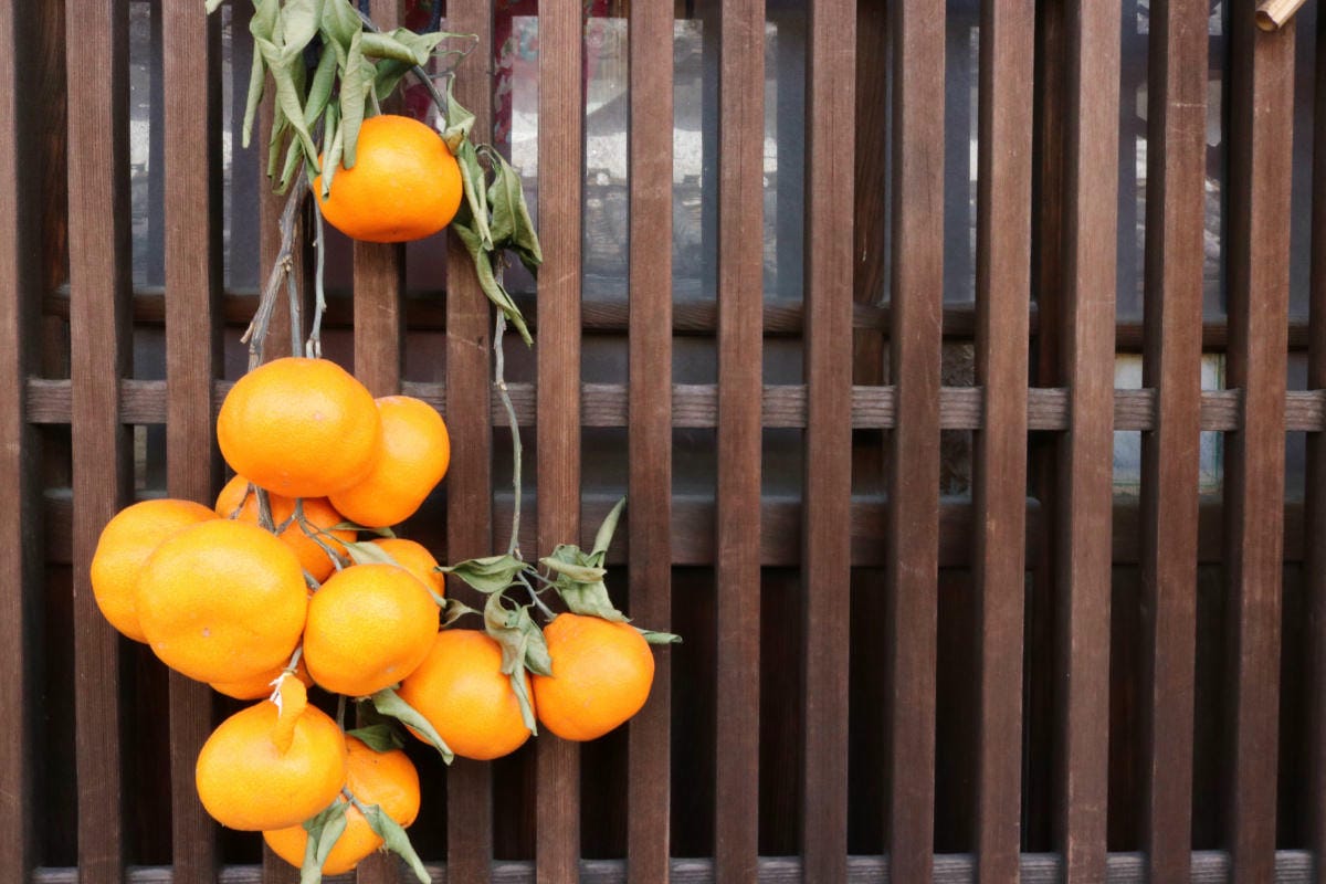 日本航空改票該怎麼做 日航改機票