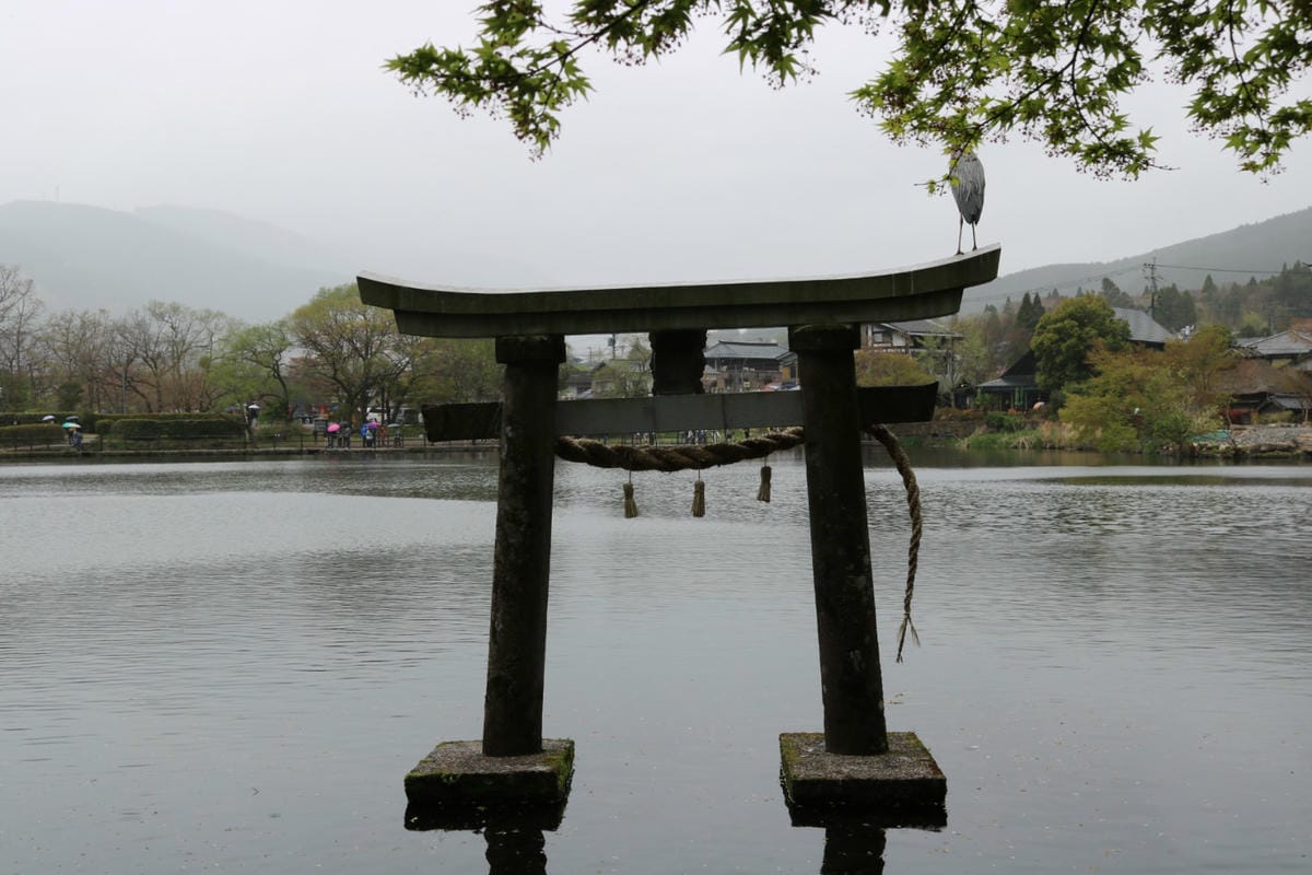 九州自駕預算 賞櫻溫泉之旅行程路線飯店懶人包 - 第26張圖 九州自駕預算 賞櫻溫泉之旅行程路線飯店懶人包