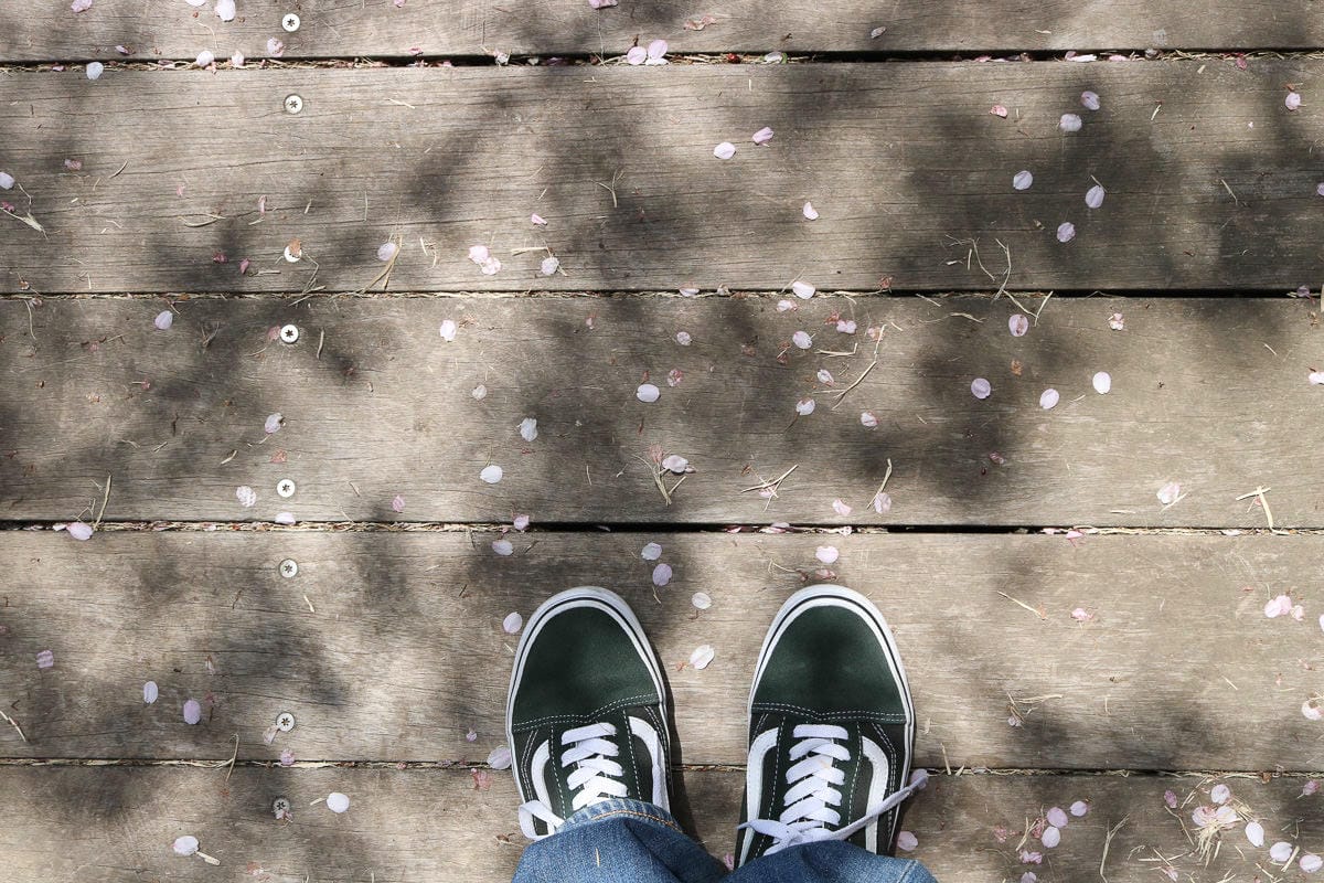 日本WIFI網路分享器網卡推薦 吃飽不降速