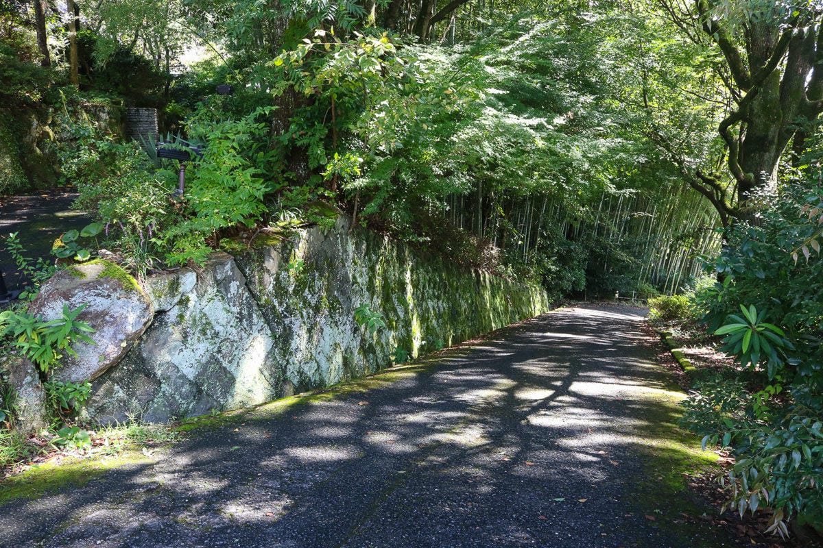 御船山樂園 九州武雄溫泉 Teamlab 限定燈光秀四季都美 - 第13張圖 御船山樂園 九州武雄溫泉 Teamlab 限定燈光秀四季都美