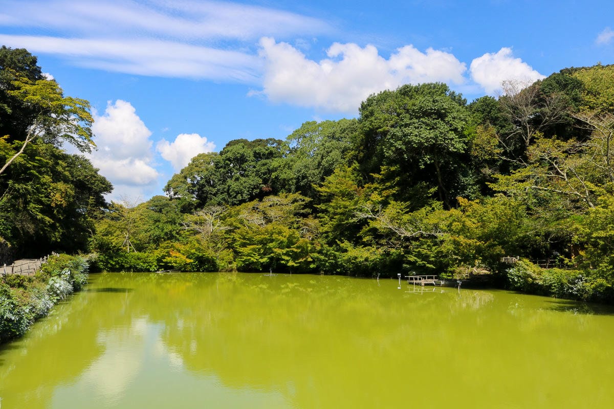 御船山樂園 九州武雄溫泉 Teamlab 限定燈光秀四季都美 - 第5張圖 御船山樂園 九州武雄溫泉 Teamlab 限定燈光秀四季都美