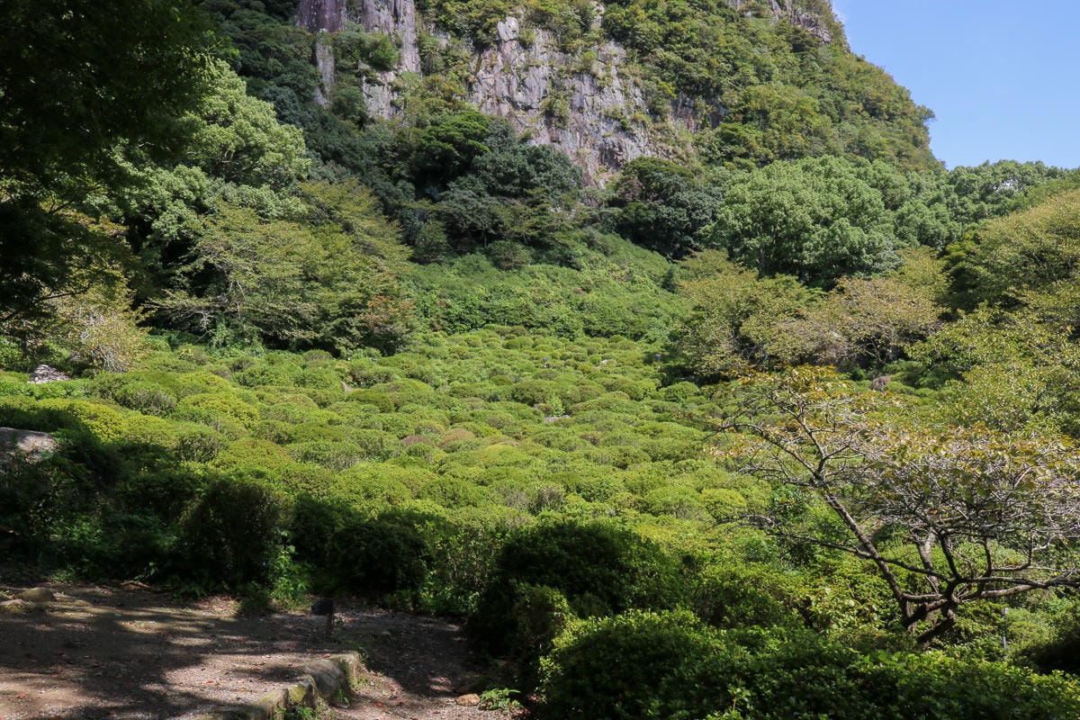 御船山樂園 九州武雄溫泉 Teamlab 限定燈光秀四季都美 - 第4張圖 御船山樂園 九州武雄溫泉 Teamlab 限定燈光秀四季都美