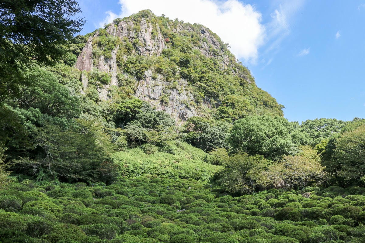 御船山樂園 九州武雄溫泉 Teamlab 限定燈光秀四季都美 - 第6張圖 御船山樂園 九州武雄溫泉 Teamlab 限定燈光秀四季都美
