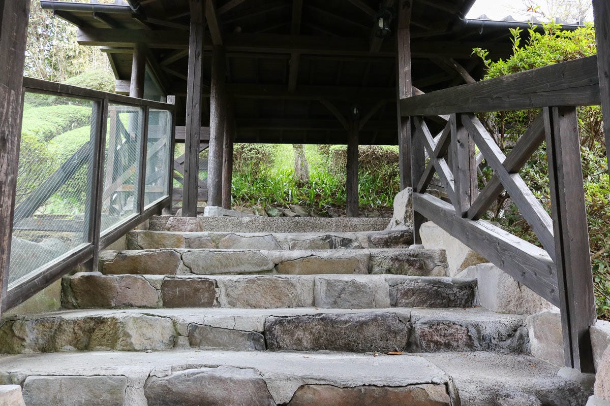 歐洲旅平險 旅行平安險 不便險 申根保險該辦嗎