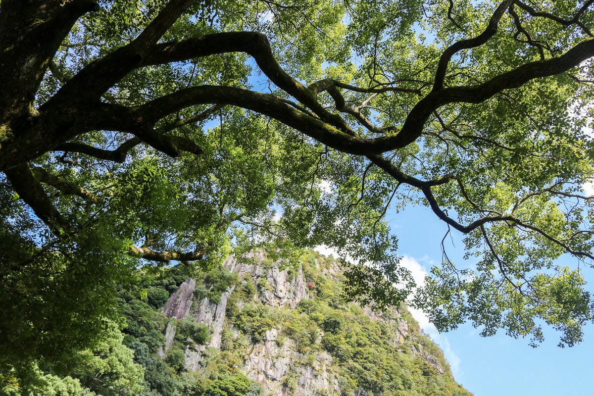 日本上網不受限 173WIFI網路分享旅行順暢不囉唆(附優惠碼