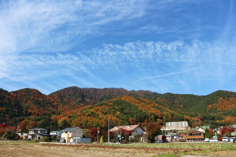 東京自駕方便嗎？奧多摩河口湖箱根開車注意(附費用明細
