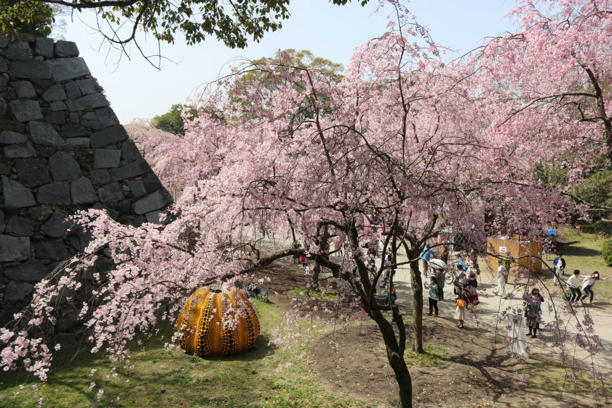 福岡天神自由行攻略 行程安排、交通、住宿、花費(雨天推薦