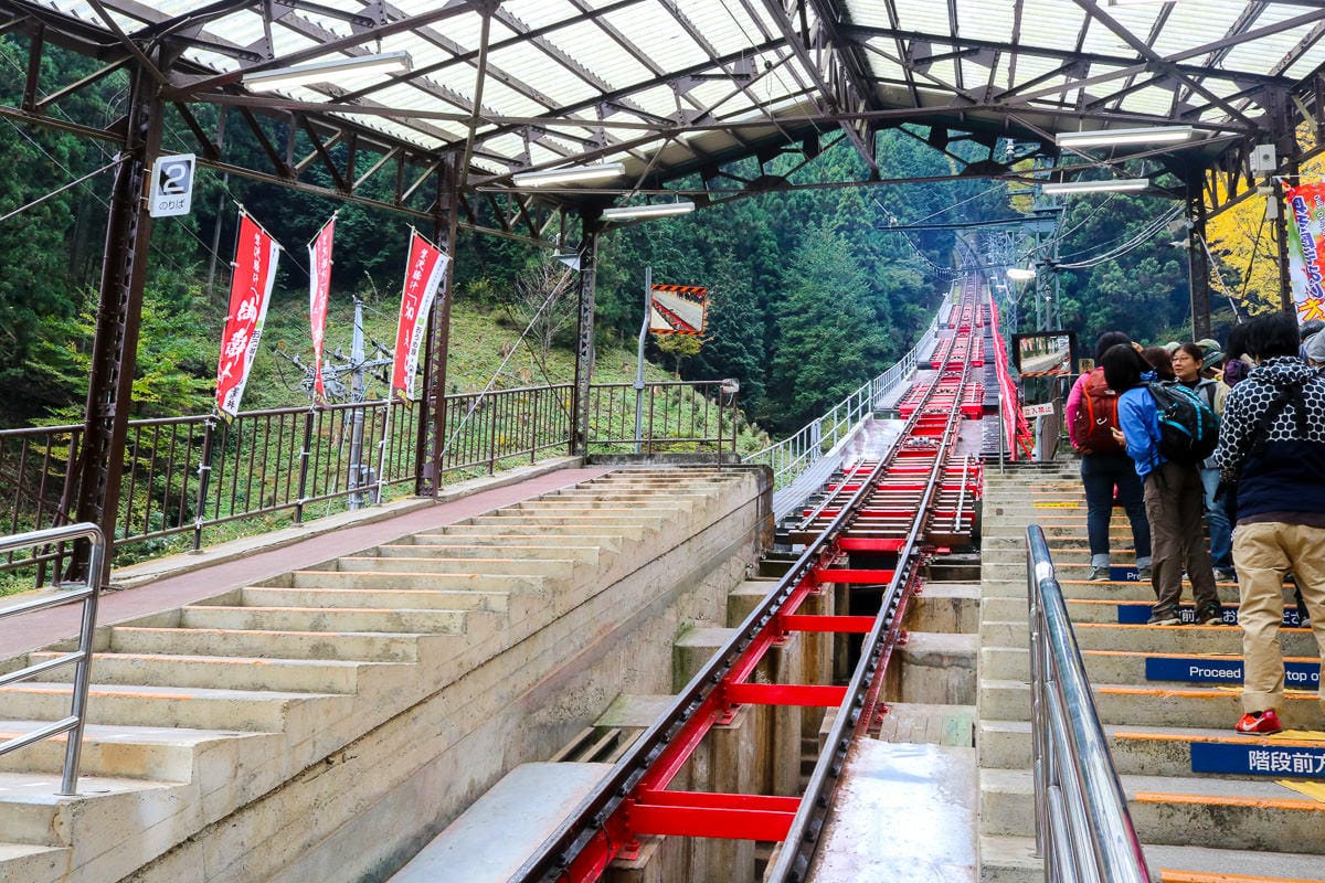 帶長輩自駕遊東京孝親之旅行程安排與心得(附費用表