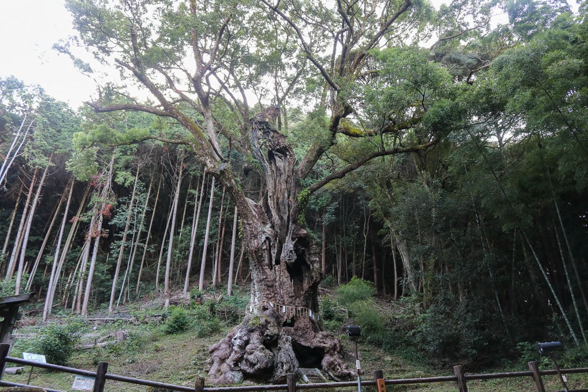 九州武雄自由行攻略 行程安排、交通、住宿、花費