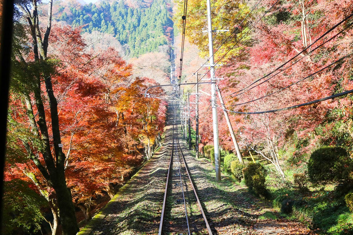 東京旅館驚魂  近港區靠皇居 正負評都有端看你的接受度