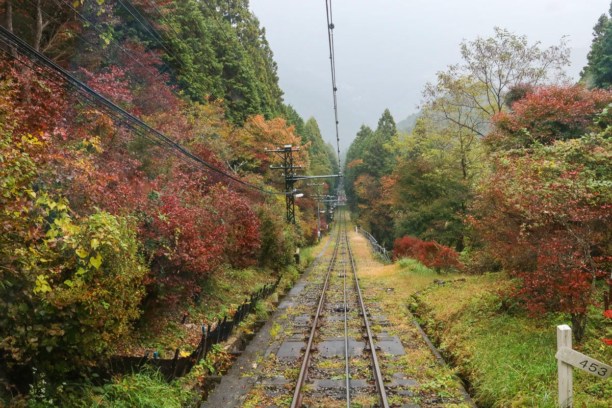 東京近郊奧多摩 自由行行程安排、交通、住宿、花費 - 第3張圖 東京近郊奧多摩 自由行行程安排、交通、住宿、花費
