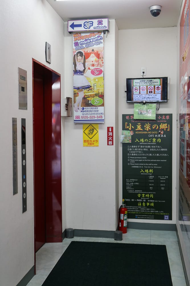 東京秋葉原女僕咖啡這麼好玩！夢之國Maidreamin