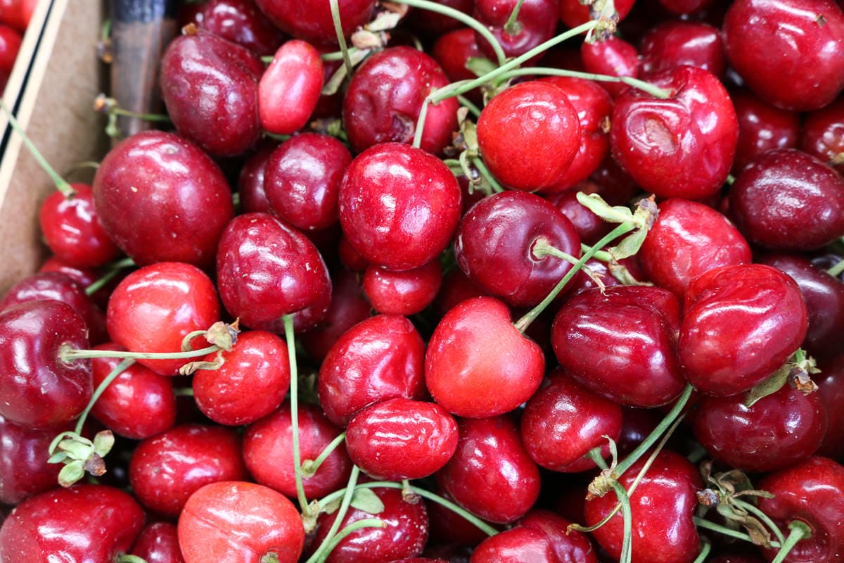 西班牙美食體驗之旅，深度玩西班牙的入門行程