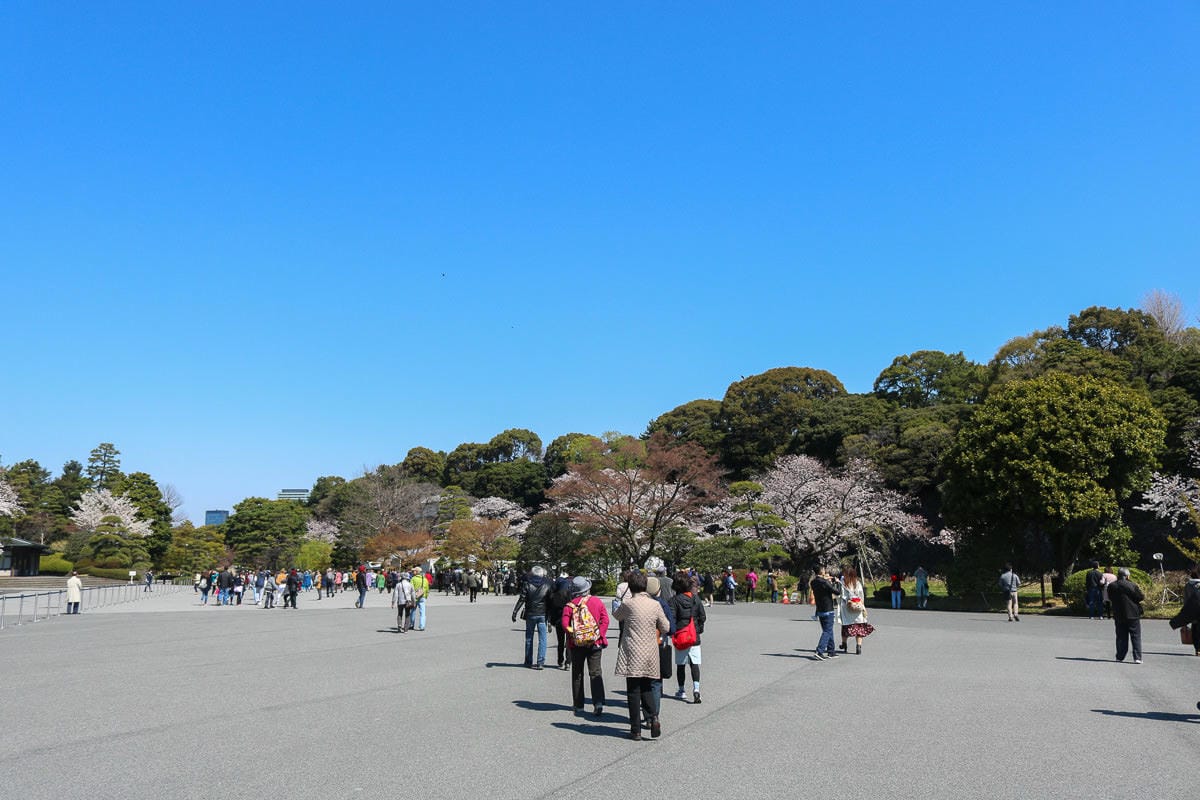 東京賞櫻地點日本皇居值得去嗎？紅葉季呢？預約與限定開放常見問答