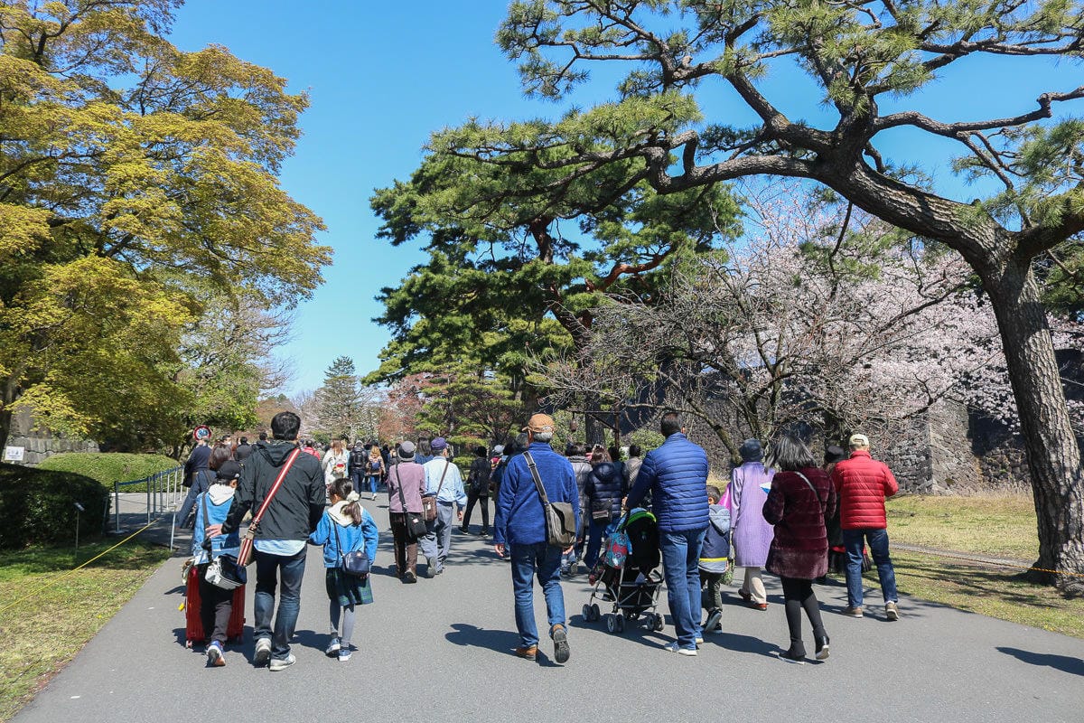 東京賞櫻地點日本皇居值得去嗎？紅葉季呢？預約與限定開放常見問答