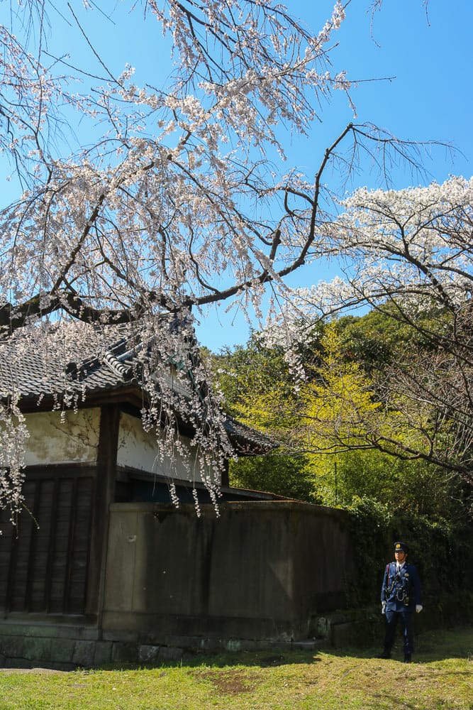 東京賞櫻地點日本皇居值得去嗎？紅葉季呢？預約與限定開放常見問答