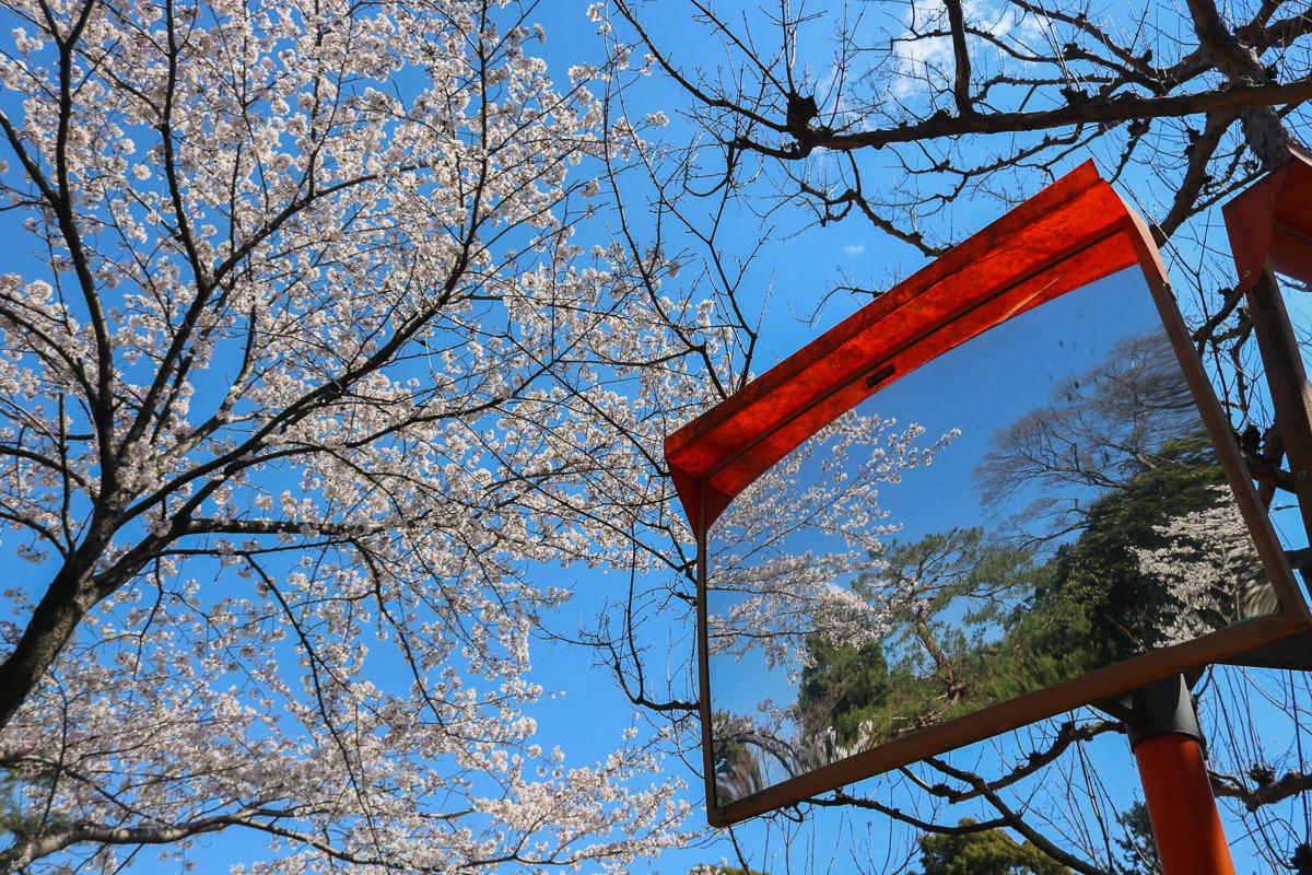 東京賞櫻地點日本皇居值得去嗎？紅葉季呢？預約與限定開放常見問答