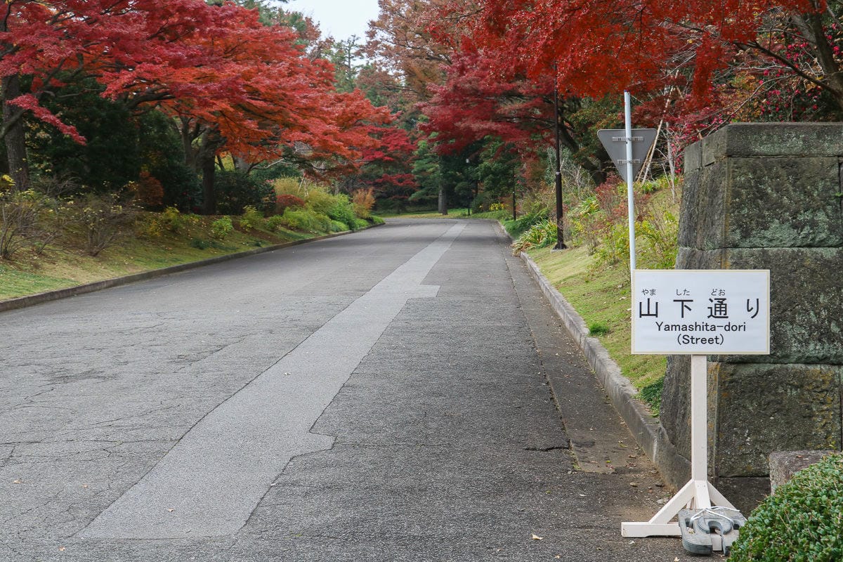 東京賞櫻地點日本皇居值得去嗎？紅葉季呢？預約與限定開放常見問答