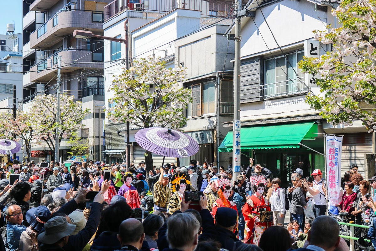 淺草祭典江戶吉原花魁遊街值得看，四月一葉櫻祭登場！